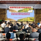 紫鹊界原生稻米新品在湖南新化发布 五大标准体系护航梯田好米