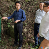 邹剑锋到桑梓镇调研督导生态环境保护、安全生产等重点工作
