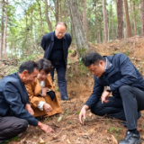 彭韬调研督导秋冬农业生产 道路交通安全 食品安全等工作