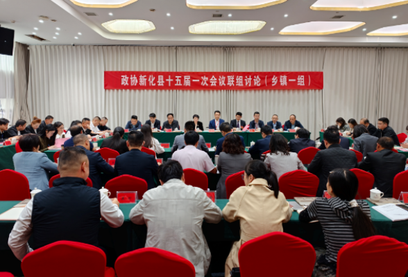 两会直通 | 彭韬参加政协新化县十五届一次会议乡镇一组联组讨论
