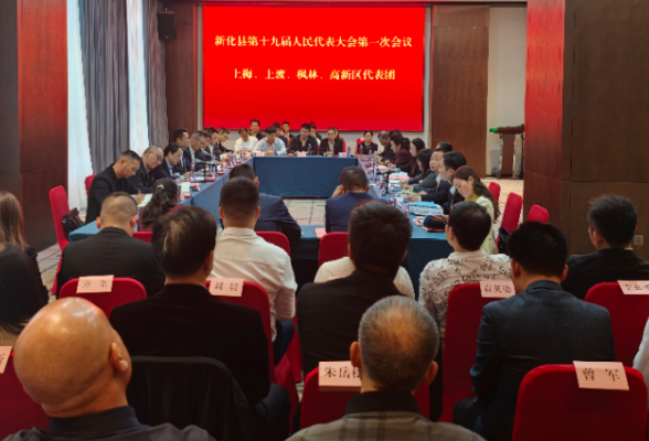 两会直通 | 彭韬参加上梅、上渡、枫林、高新区代表团审议