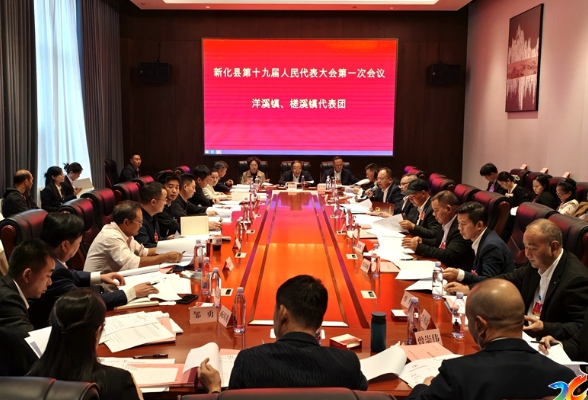 两会直通 | 参加县十九届人大一次会议的代表进行分团讨论