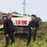彭韬深入桑梓镇新兴村、西江湾村、集中村调研晚稻收割、基层治理、常态化帮扶等工作