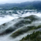 百企风采 |  紫鹊界・中国茶寿康养小镇  打造湘中全季康养新地标