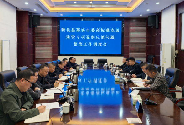 新化县落实市委高标准农田建设专项巡察反馈问题整改工作调度会召开