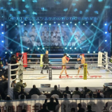 新中泰中外拳王争霸赛在新化激情上演