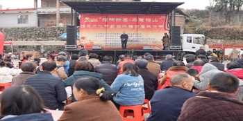 热气腾腾新化年丨田坪镇举办擂茶文化节暨首届年货节