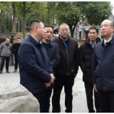 新春走基层 | 娄底市副市长杨维来新督导文旅广体领域安全生产工作