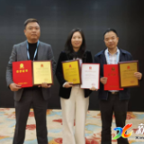 新化高新区三家企业获国家级荣誉