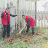 第48个植树节 | 桑梓镇开展义务植树活动