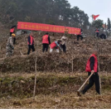 第48个植树节 | 古台山林场开展义务植树活动