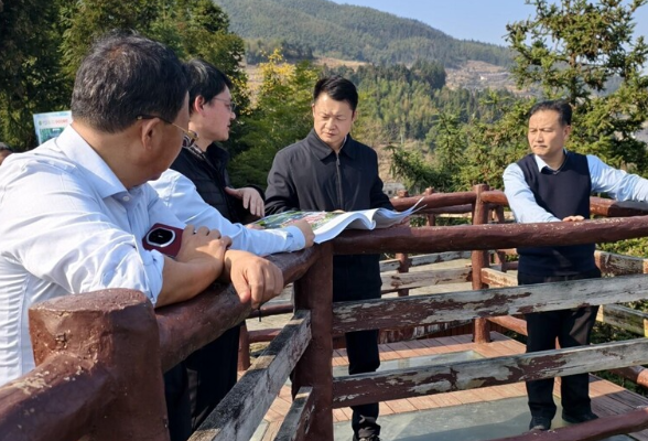 彭韬调研项目建设农文旅融合等工作