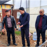 邹剑锋调研春耕备耕工作