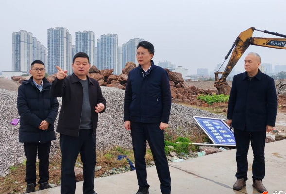 邹剑锋督导检查防汛备汛工作