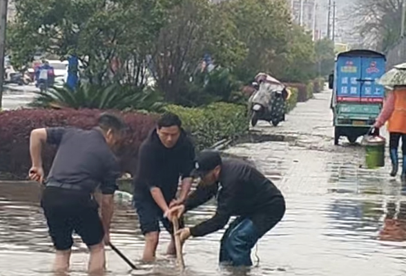 防汛救灾进行时 | 强降雨致学校路段积水 枫林街道干群携手清淤保畅