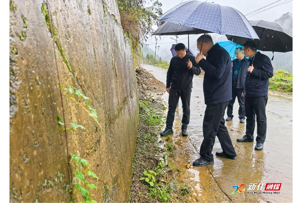 彭韬到炉观镇调研：以时时放心不下的责任感 筑牢全县安全防护网