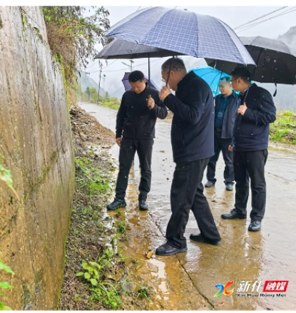 彭韬到炉观镇调研：以时时放心不下的责任感 筑牢全县安全防护网