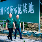 寻“芋”问道三十载 娄商杨鹏华 “种”出亿元产业