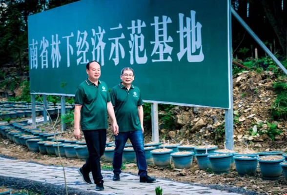 寻“芋”问道三十载 娄商杨鹏华 “种”出亿元产业