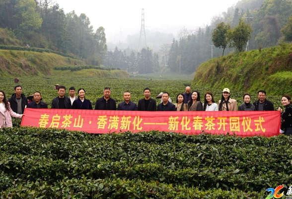 “三月春风醒梅山 十里茶堤品新茶” 2026娄底春茶（新化红茶）开园活动举行