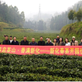 “三月春风醒梅山 十里茶堤品新茶” 2026娄底春茶（新化红茶）开园活动举行