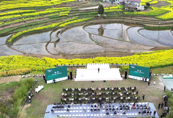 乡村梯田保护发展首届年会举行 全国20个梯田县区聚首汉阴
