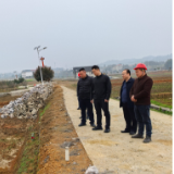 彭韬调研春耕生产工作