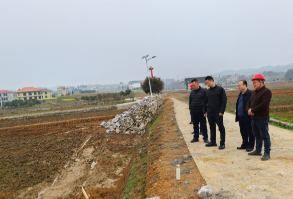 彭韬调研春耕生产工作