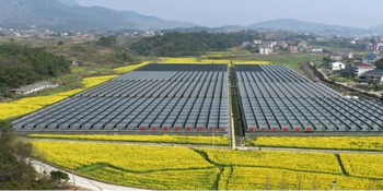 项目攻坚·加速奔跑  |上渡天竺智能化育秧连栋大棚项目提速建设 助力农业提质增效