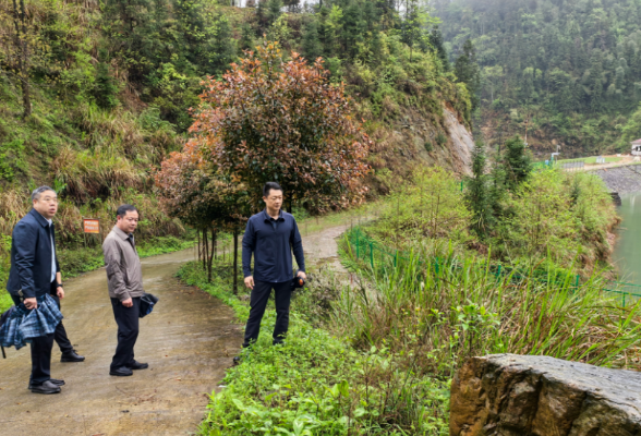 彭韬到金凤乡暗访督查安全生产 防汛 基层社会治理 群众身边不正之风和腐败问题集中整治和社会稳定等工作