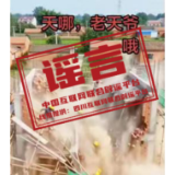 利用AI造谣“天津突发8.8级地震”者被处罚 （2026·04·16）