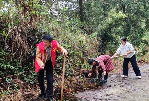 雨后清淤除障保畅通  古台山董家工区开展环境整治主题党日活动