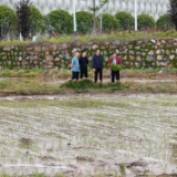 春耕现场 | 新化县农业农村局送技下乡 助力早稻生产