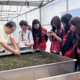 省“三区”人才到新化送技下乡 护航黄精稳产提质