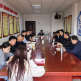 彭韬赴枫林街道调研