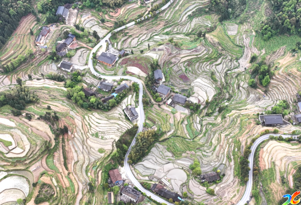 紫鹊宿集 集群兴文旅  民宿活乡村