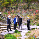 新化县领导赴大熊山国家森林公园督导检查重点工作