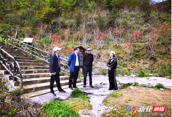 新化县领导赴大熊山国家森林公园督导检查重点工作