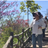 新化县 2026 年“蚩尤魂・熊山恋”集中采风暨文艺创作大赛活动走进大熊山国家森林公园