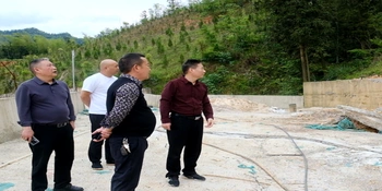 新化县直部门会商研究槎溪镇红岩桥村地质灾害隐患点治理工作