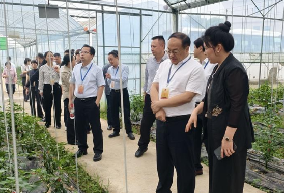 新化县人大常委会视察科头乡农文旅融合发展工作