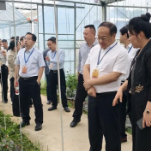 新化县人大常委会视察科头乡农文旅融合发展工作