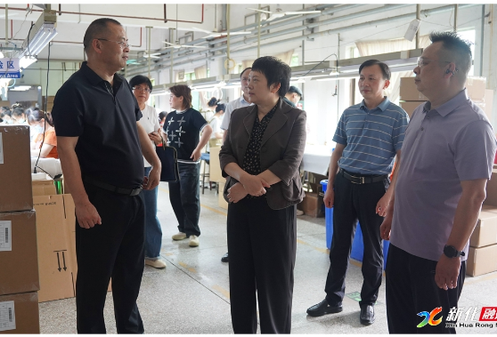 新化县领导督导检查重点企业安全生产工作
