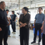 新化县领导督导检查重点企业安全生产工作