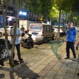 新化县城管局开展城区犬只管理专项整治行动 守护市民安全与城市文明