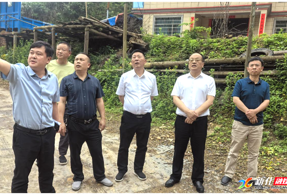 杨韶红到洋溪镇督导防汛抗灾与安全生产工作