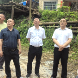 杨韶红到洋溪镇督导防汛抗灾与安全生产工作