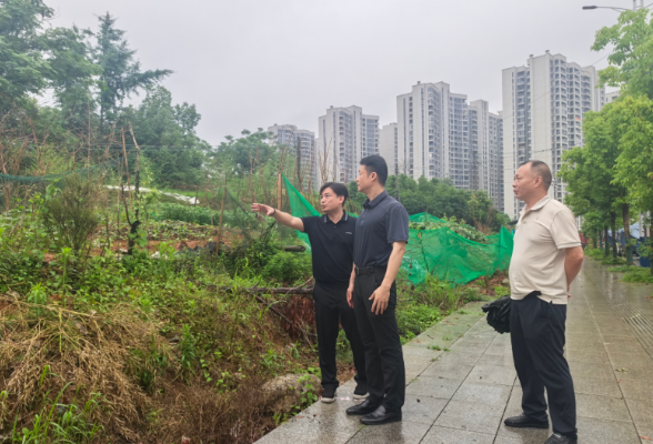 彭韬“四不两直”调研督导中心城区安置基地建设、治理物业服务突出问题、防洪圈建设等工作