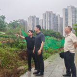 彭韬“四不两直”调研督导中心城区安置基地建设、治理物业服务突出问题、防洪圈建设等工作