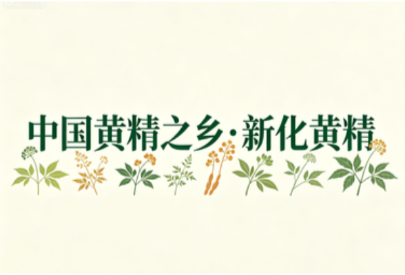专题 | 中国黄精之乡·新化黄精